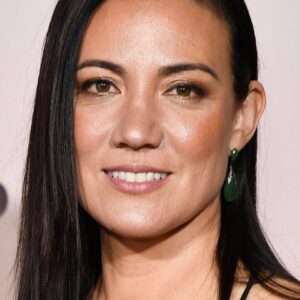 تصویر هنرمند Lisa Joy