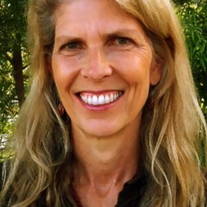 تصویر هنرمند Mimi Polk Gitlin