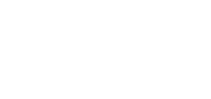 لوگوی رسمی فیلم The Heat (2013)