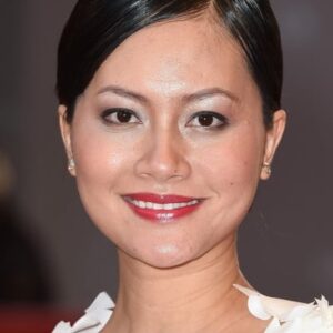 تصویر هنرمند Do Thi Hai Yen