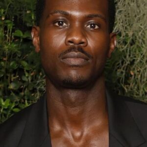 تصویر هنرمند Victor Alli