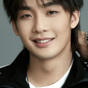 تصویر هنرمند Heye Wang