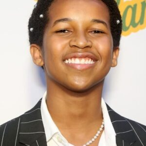 تصویر هنرمند Alexander Bello