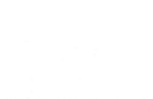 لوگوی رسمی فیلم New in Town (2009)