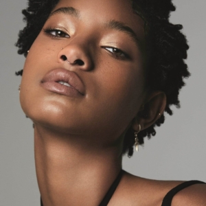 تصویر هنرمند Willow Smith