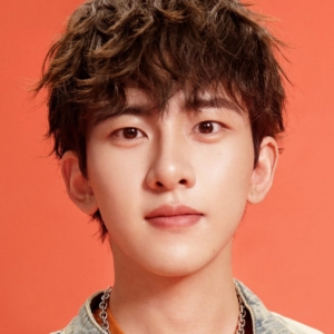 تصویر هنرمند Wang Jiaxuan