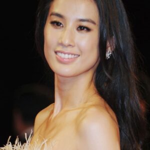 تصویر هنرمند Huang Shengyi