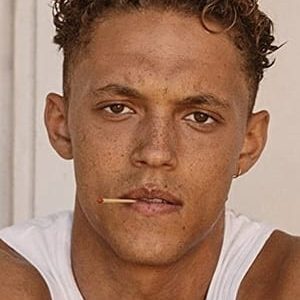 تصویر هنرمند Orlando Norman