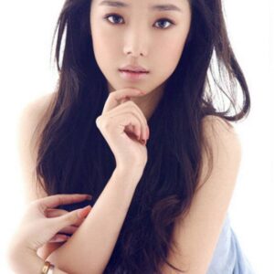 تصویر هنرمند Han Xiting