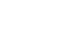 لوگوی رسمی فیلم The Purge (2013)