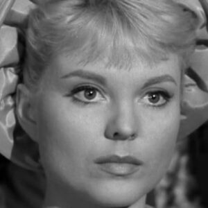 تصویر هنرمند Abigail Shelton