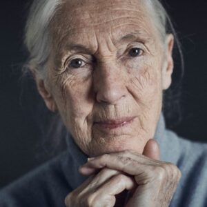 تصویر هنرمند Jane Goodall