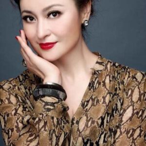 تصویر هنرمند Wang Luyao