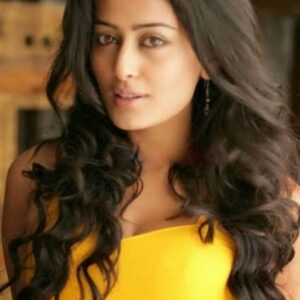 تصویر هنرمند Nidhi Subbaiah