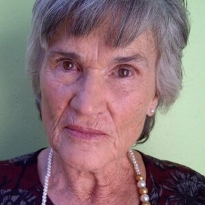 تصویر هنرمند Lida Botha