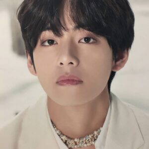 تصویر هنرمند V