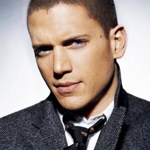 تصویر هنرمند Wentworth Miller