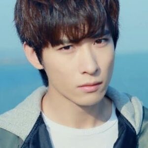 تصویر هنرمند Wu Haoze