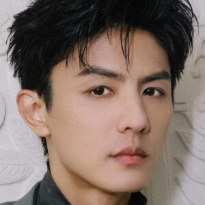 تصویر هنرمند Liu Chang