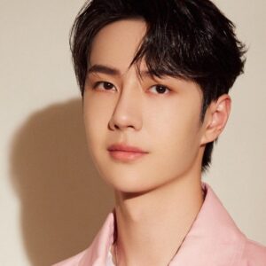 تصویر هنرمند Wang Yibo