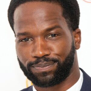 تصویر هنرمند Sope Dirisu