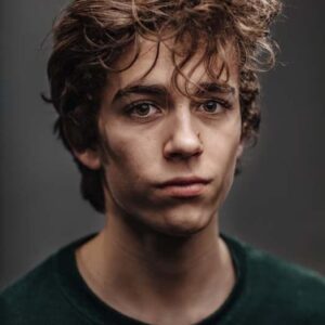 تصویر هنرمند Jef Hellemans