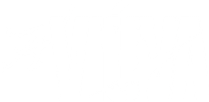 لوگوی رسمی سریال The Widow (2019)