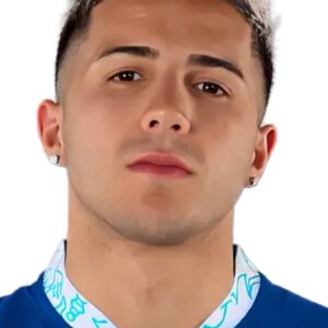 تصویر هنرمند Enzo Fernández