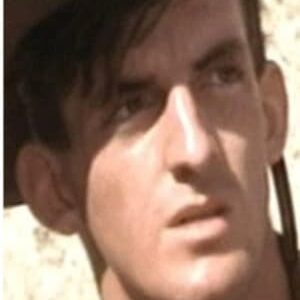 تصویر هنرمند Tim McKenzie