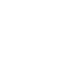 لوگوی رسمی فیلم A Complete Unknown (2024)