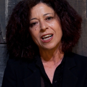 تصویر هنرمند Salwa Nakkara