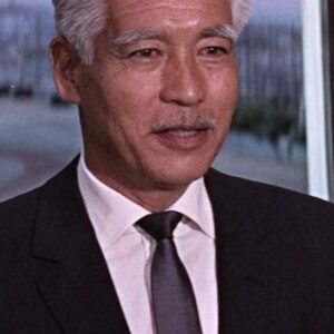 تصویر هنرمند Teru Shimada