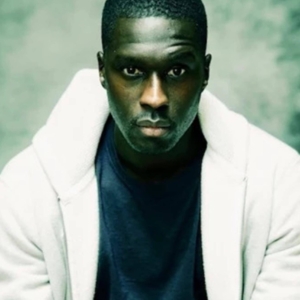 تصویر هنرمند Daouda Diakhaté