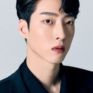 تصویر هنرمند Ryu Won-woo