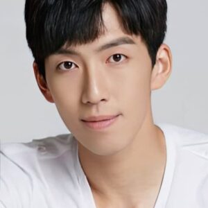 تصویر هنرمند Han Hyeon-jik