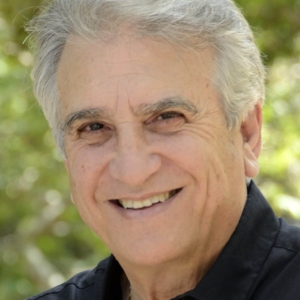 تصویر هنرمند Vincent Di Paolo