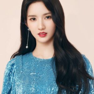 تصویر هنرمند Liu Xiening