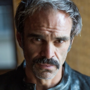 تصویر هنرمند Steven Ogg
