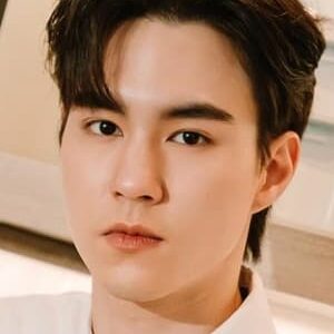 تصویر هنرمند Peerapun Chungcharoenpanich