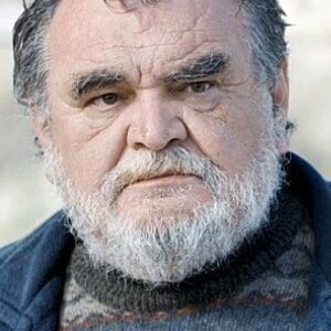 تصویر هنرمند Nenad Vukelić