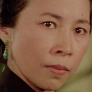 تصویر هنرمند Linda Lin Ying