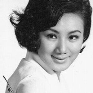 تصویر هنرمند Lisa Chiao Chiao