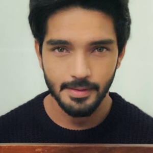 تصویر هنرمند Harsh Rajput