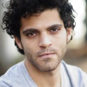 تصویر هنرمند Vincent Heneine