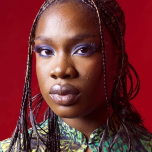 تصویر هنرمند Vivian Oparah