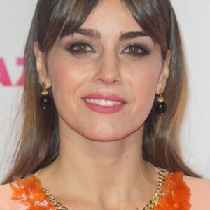 تصویر هنرمند Irene Arcos