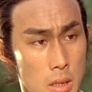 تصویر هنرمند Wang Ho