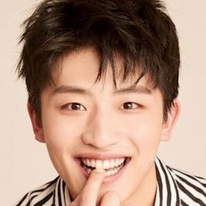 تصویر هنرمند Wu Xingjian