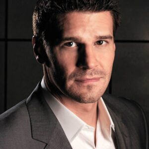 تصویر هنرمند David Boreanaz