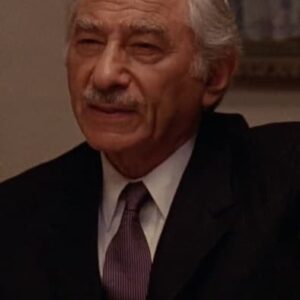 تصویر هنرمند Salem Ludwig